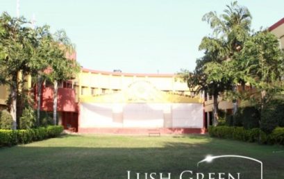 Lush Green Garden