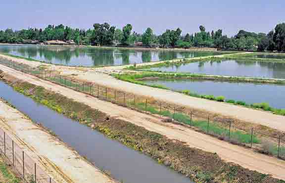 Article on Ground Water Recharge
