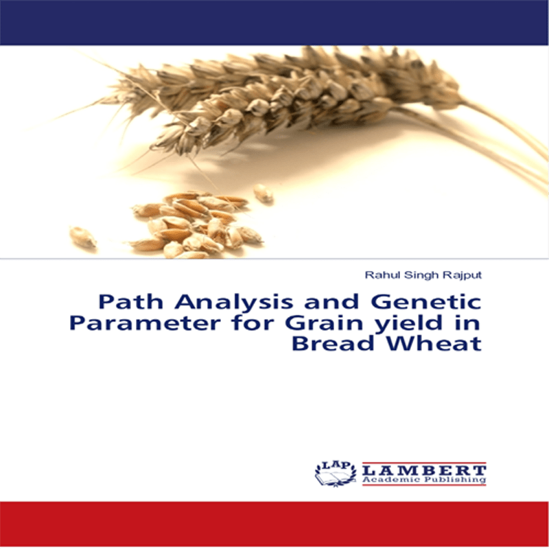 Path Analysis and Genetic Parameter for Grain yield in Bread Wheat