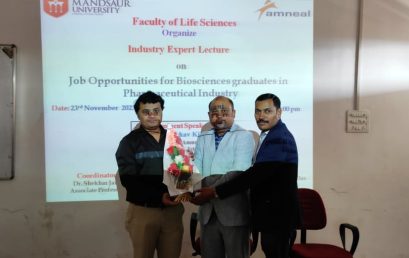 Industry Expert Lecture