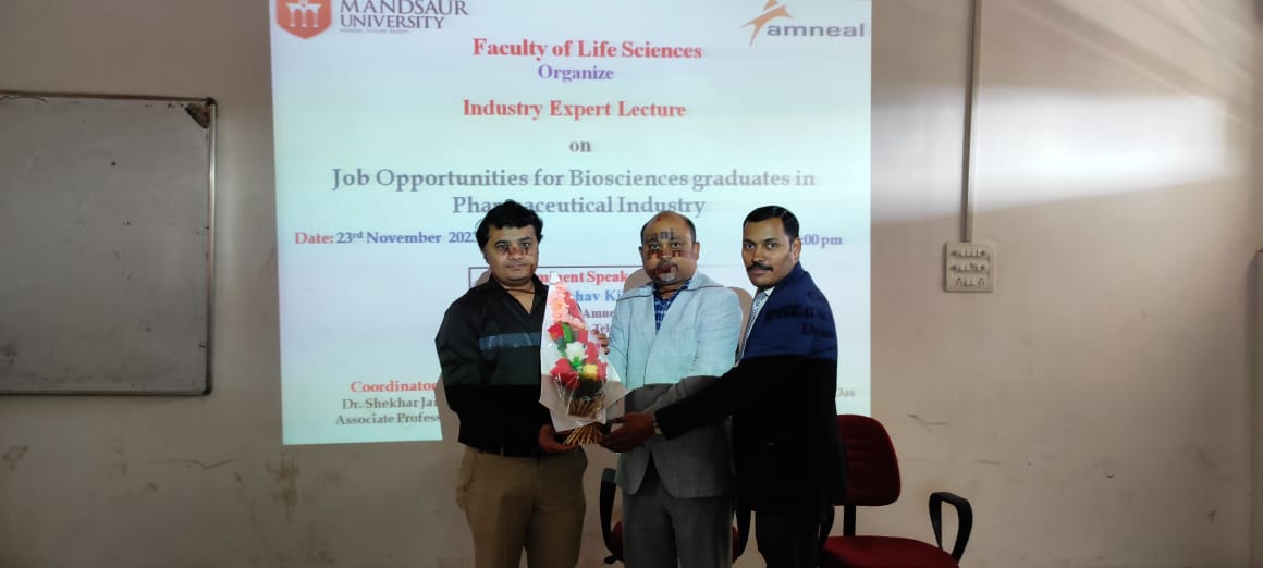 Industry Expert Lecture